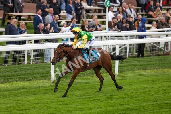 120724-Race 3-Royalty Bay-1684 - Race 3 3.15pm William Hill Keep Your Raceday Positive Irish EBF Fillies' Novice Stakes