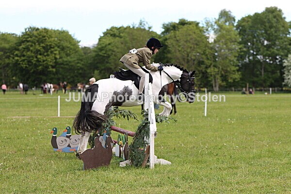 IMG_2928 - Working Hunter