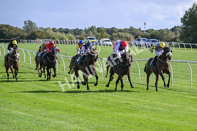 080926-Race 4-Kings Merchant-2494 - Race 4 3.36pm Fifth Regiment Royal Artillery Handicap (Div II)