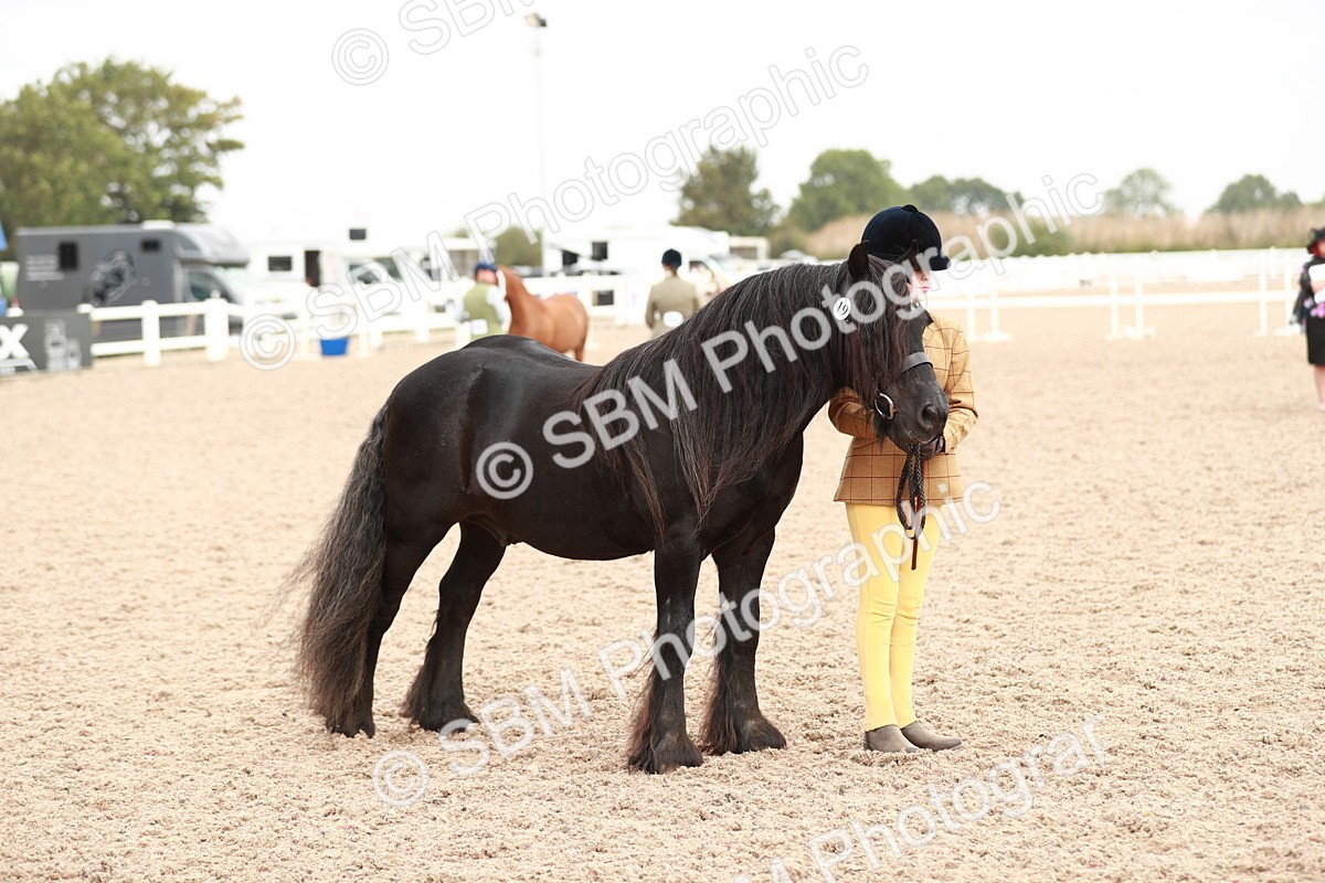 SBM_12494 - Class 207 IH M&M