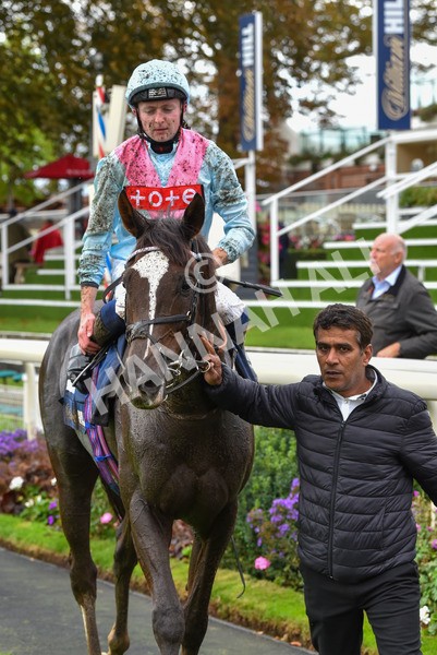 131023-Race 2-Lordship-9245 - Race 2 2.40pm William Hill Finale Handicap