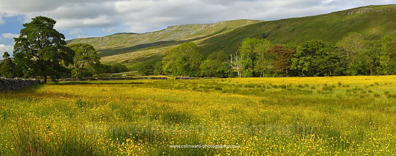 Summer Meadow, Mallerstang, Yorkshire Dales. - Panoramic Landsapes