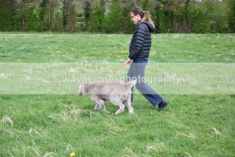 WJ6_8070 - Class 2 Best Pedigree