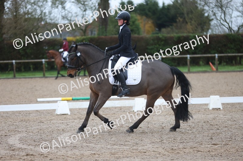 20251207-0379 - Class 3 - Novice 5