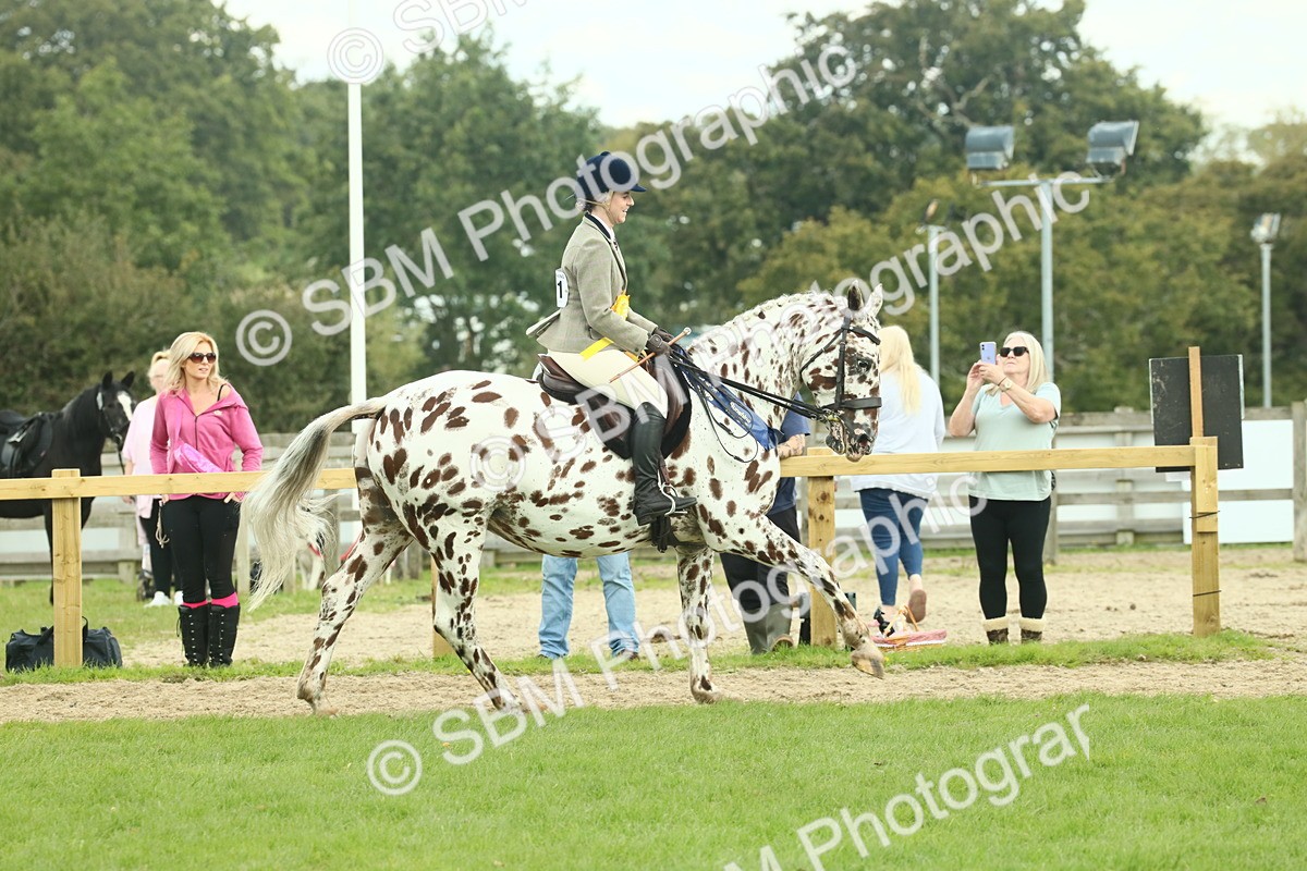 SBM_62562 - S62 - Foreign Breeds Ridden