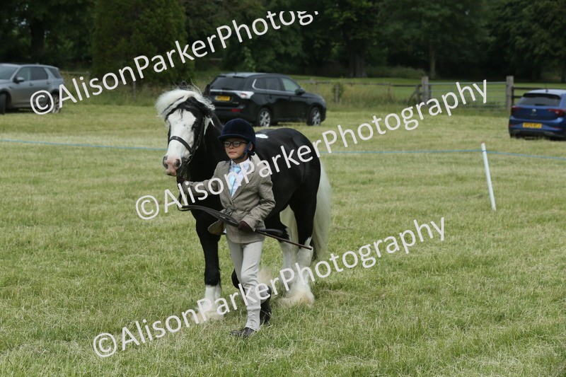 20260614-4273 - Class 18 - Best Junior Handler