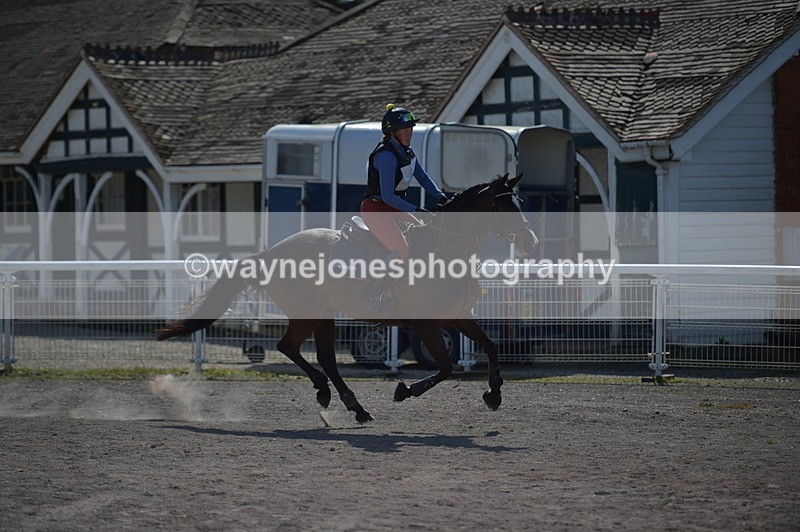 NGP_8250 - XC Time 13:29 to 13:34