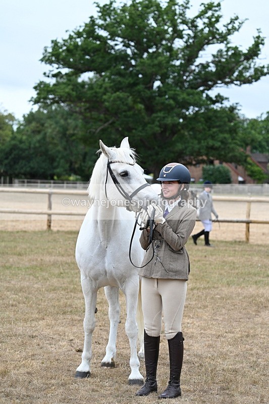 WJ7_9120 - Class 4a Prettiest Mare 14.2hh and over
