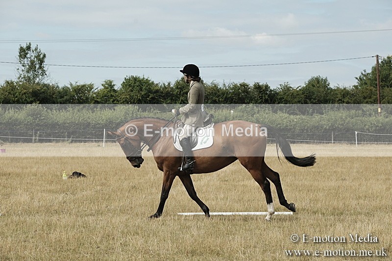 _PJP5796 - Dressage Classes BVRC Show 2018