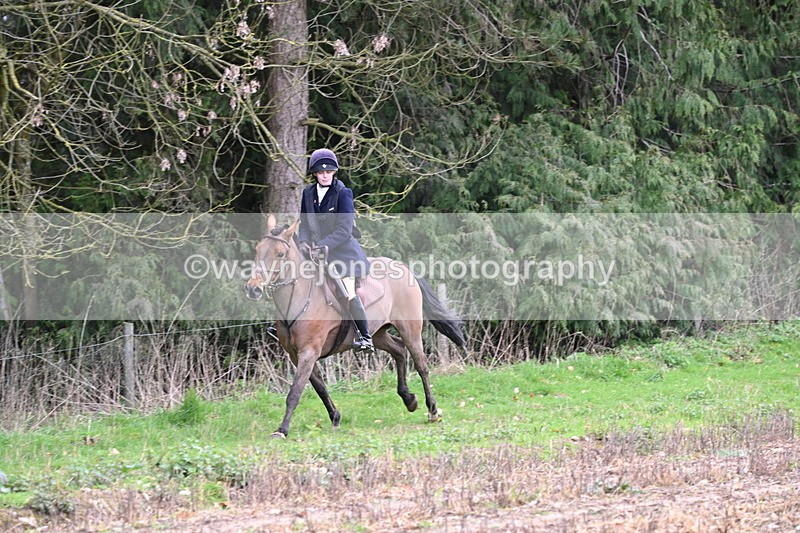 WJ6_9528 - Line Four