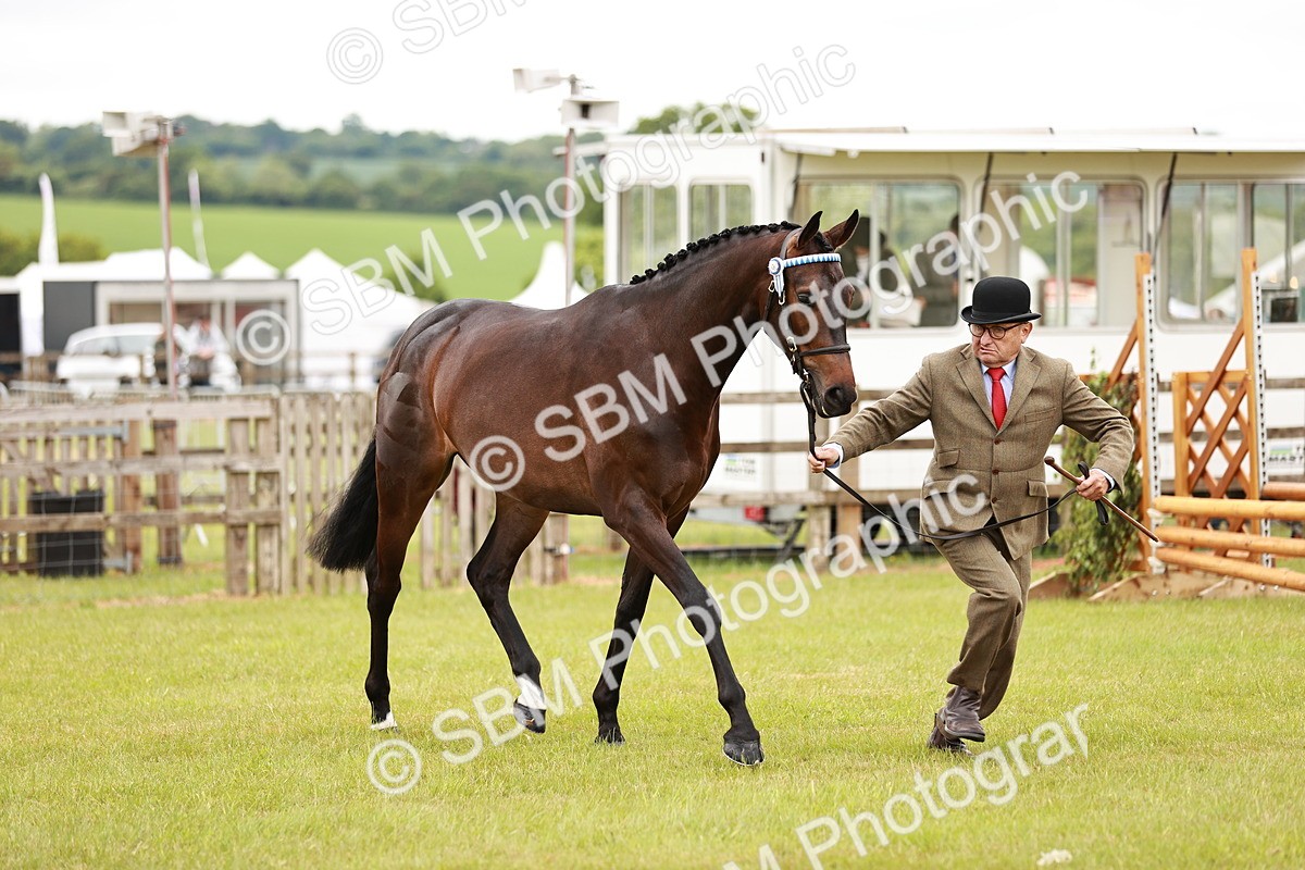 SBM_04762 - Class 35-38 Riding Horse Breeding