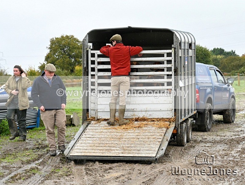 WJ7_7996 - Berks & Bucks Blackcroft Farm 20-10-24