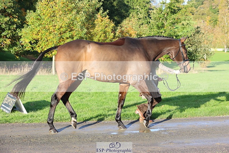 251026A-093517-22350 - D-357-Fenella.Redvers