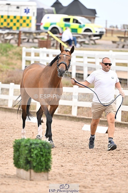 250716-155447-02272 - Trot Up 3.30 to 4.30