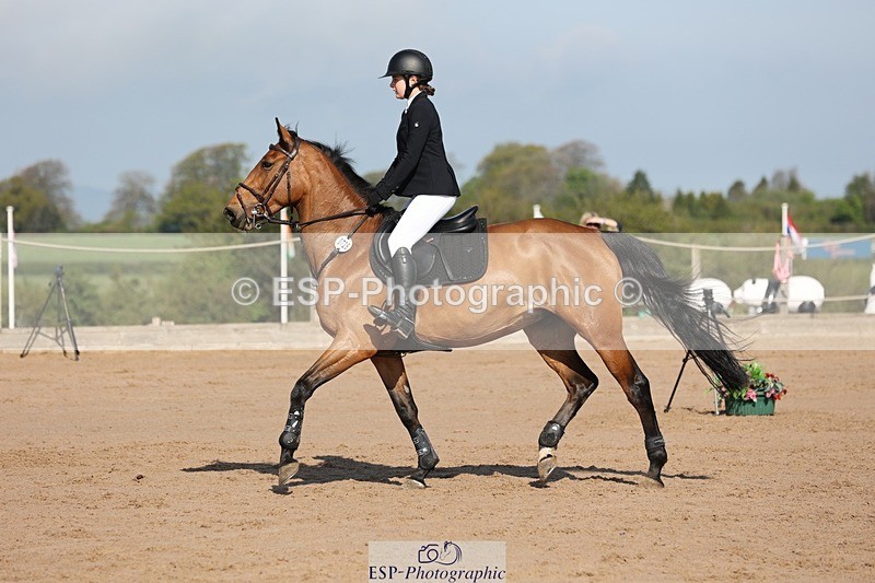 250427-093139-14907 - Cls 32 Young Horse 6yr old