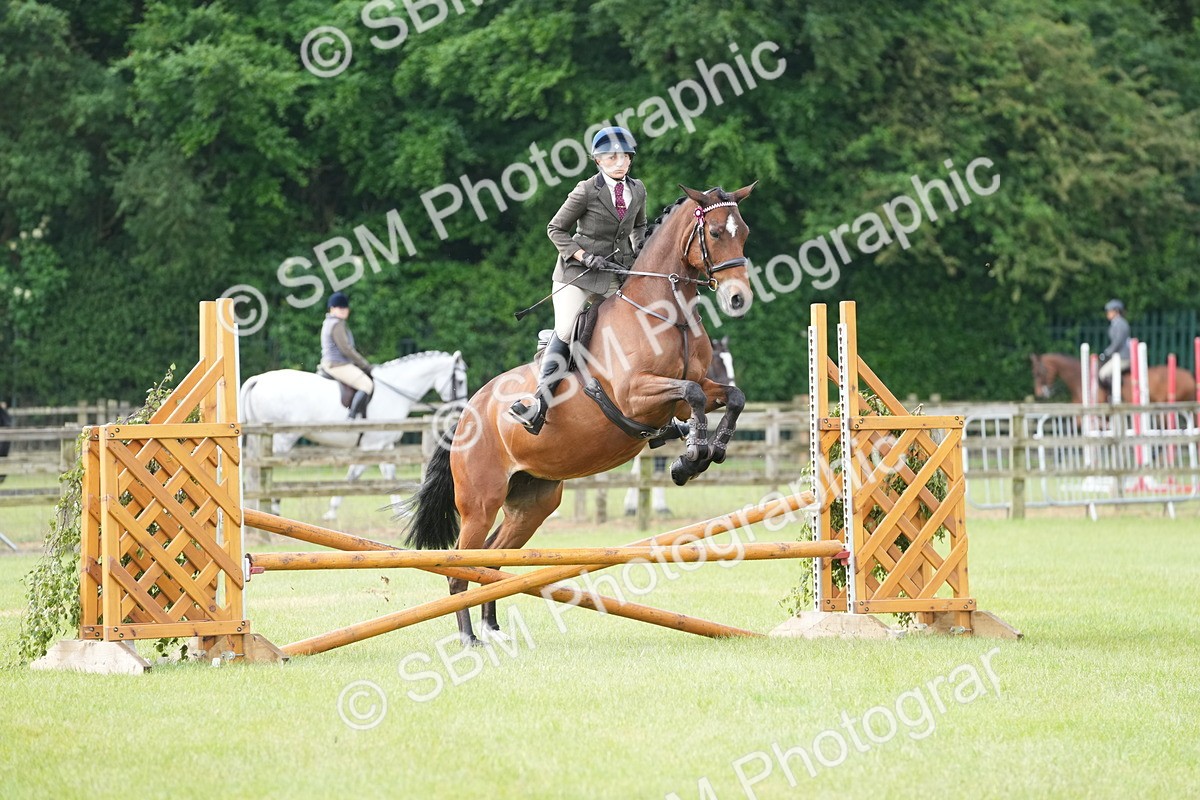 SBM_10459 - Class 97-98 - LIHS BSHA Rising Star Working Show Horse Hunter