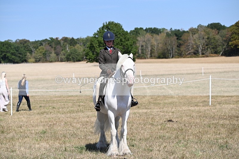 WJ6_9043 - Class 38 Ridden Riding Horse/Pony