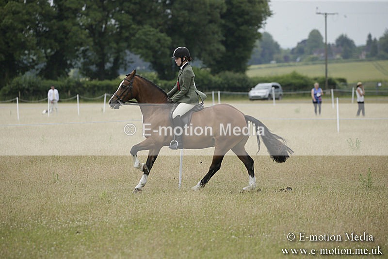 B230619-0944 - Bourne Valley Riding Club Summer Show 23/06/19