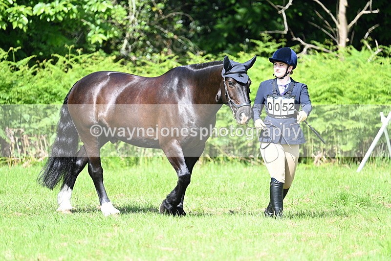 WJ7_1124 - Class 11 Condition & Turnout