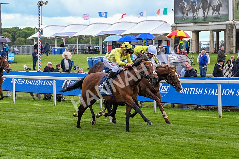 140526-Race 6-Dickensian-5809 - Race 6 4.40pm British Stallion Studs EBF Westow Stakes