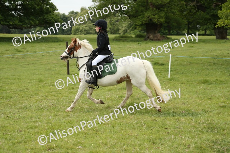 20250517-1189 - Class 21 - Novice Working Hunter