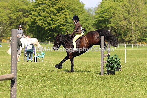 IMG_4303 - Working Hunter