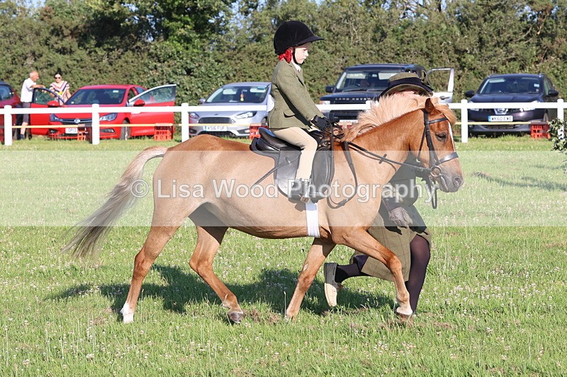 JPP_0762 - Class 16: Cornish Combination Leading Rein