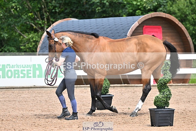 240718A-105304-01526 - Trot Up 12pm to 1pm