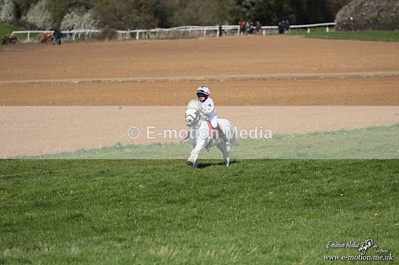 Shet 060426 132 - Shetland Pony Racing Paxford Races Easter Mon 06/04/26