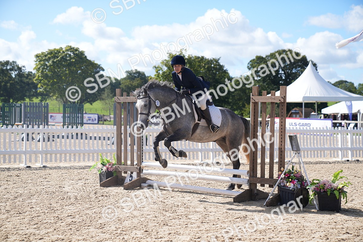 SBM_02513 - J54 Clear Round 45cm