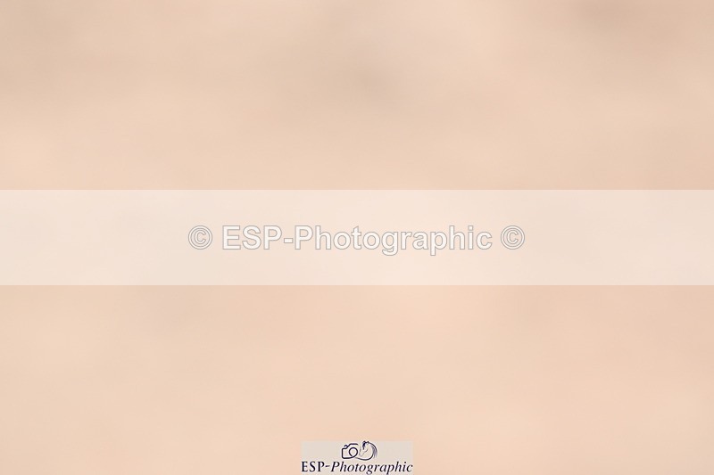 240623A-132410-18467 - Cls 5+6 Novice 27+30