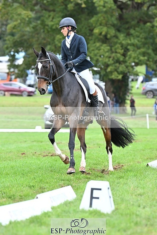 231020-153748-11530 - 687-VLOVE.D.OR.LY-Hani.Milstein-DR