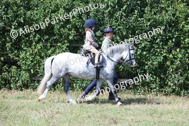20250831-2629 - Class 17 - Lead Rein Pony