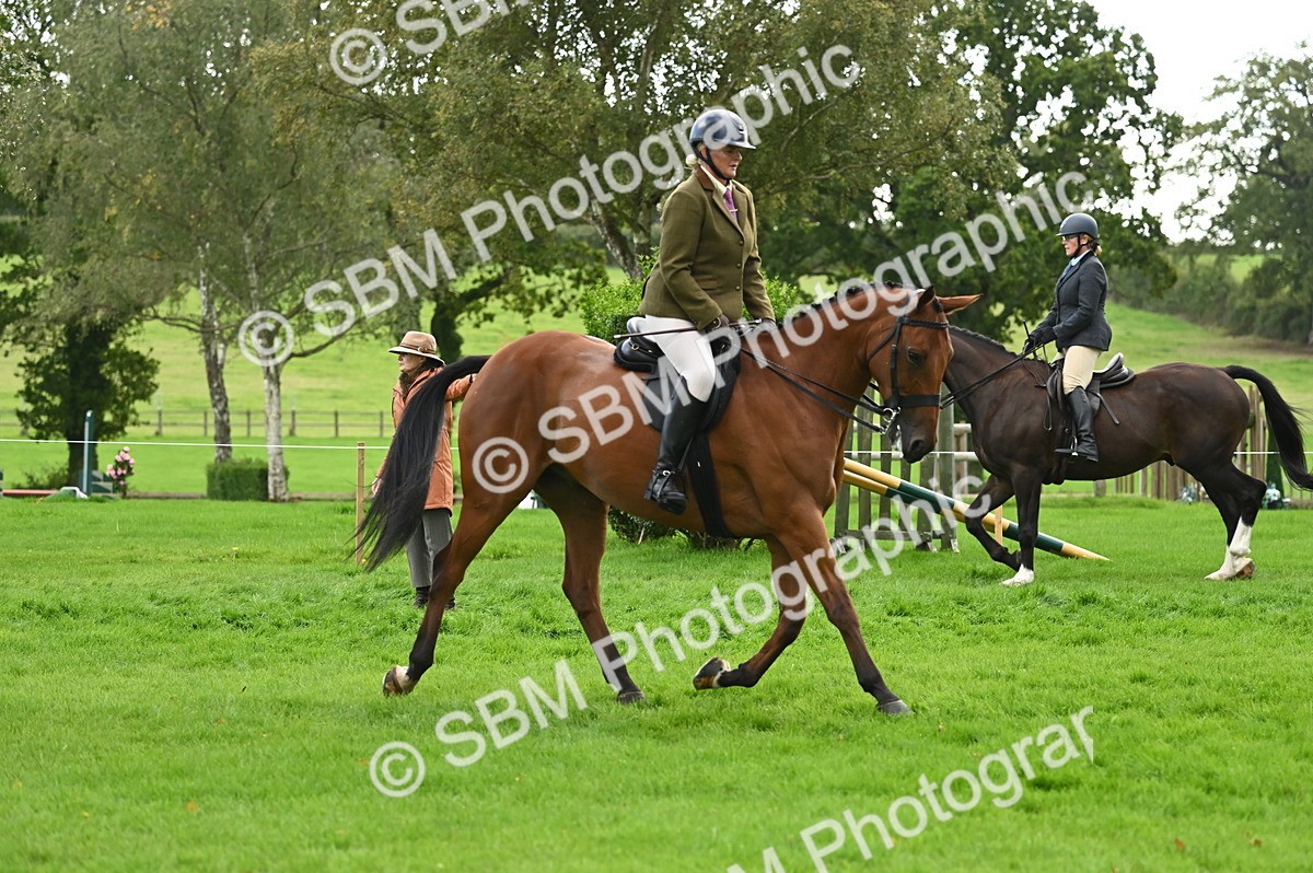 SBM_26360 - S6 - Novice & newcomer Ridden horse