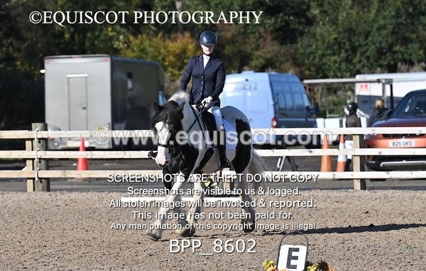 BPP_8602 - SHORT ARENA