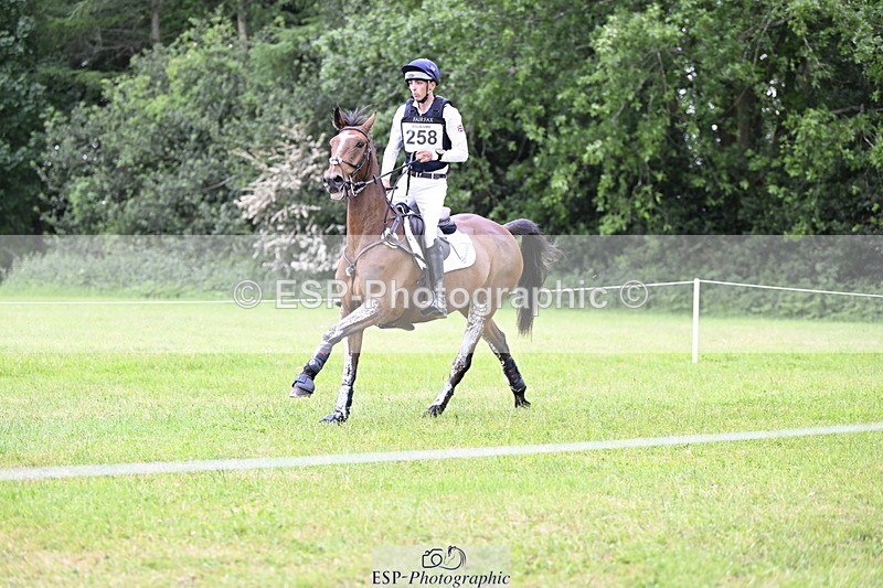 250524A-160754-14487 - C-258-Bill.Levett-ITALIAN.HARLEQUIN.NJ