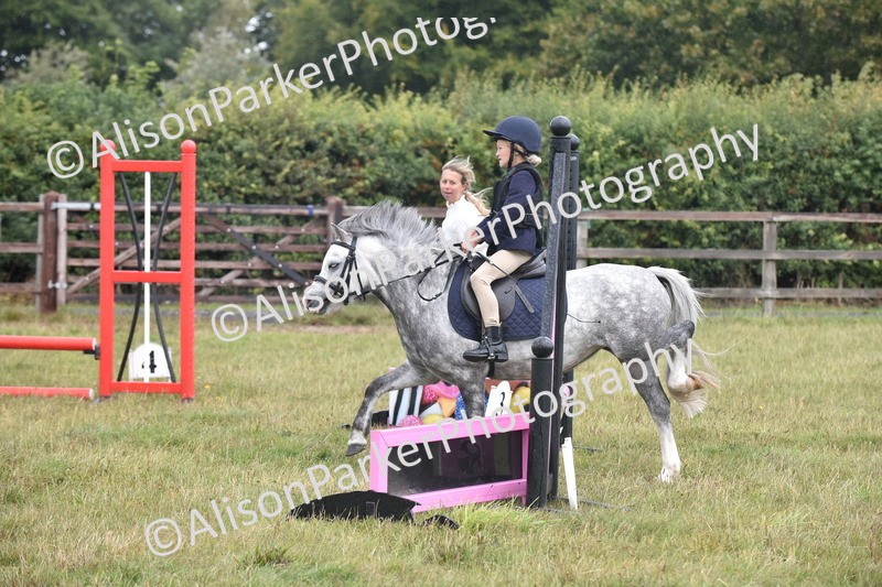 20250831-1852 - Class 9 - Absolute Novice 45cm