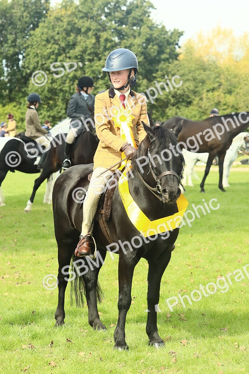 SBM_66750 - S34 - Rehabilitated Rescue Horse & Pony In Hand & Ridden