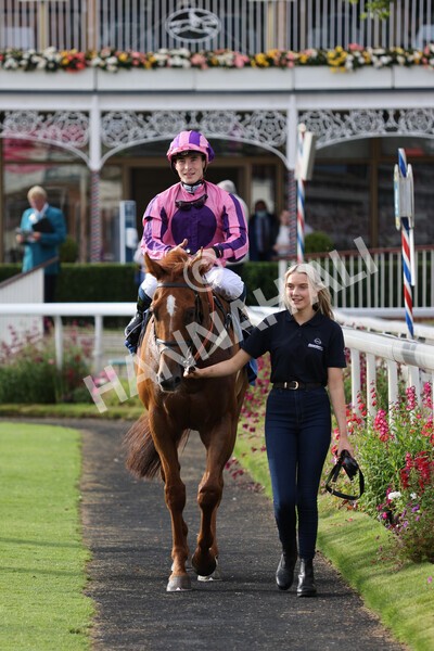 yr23072021r2-36 - Race 2 6.30pm IRE-Incentive It Pays To Buy Irish Stakes