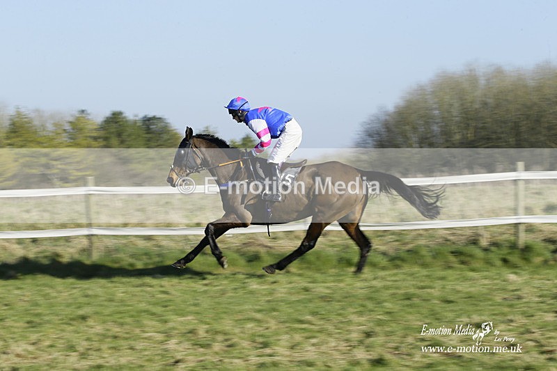 PtP 270222 152 - South & West Wilts Point-to-Point Larkhill 27/02/22