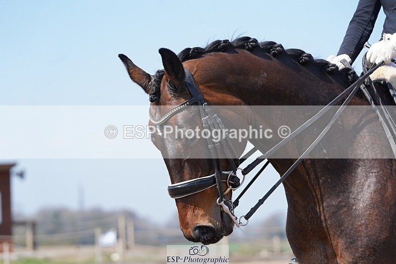 250403-121916-01865 - 057-Jess.Ralton-Newton.Galactica