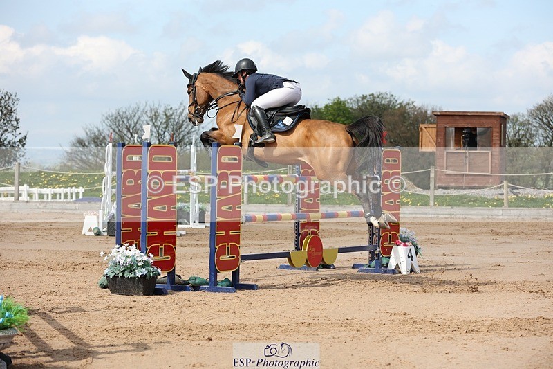 250427-110349-15779 - Cls 36 Young Horse 7yr old