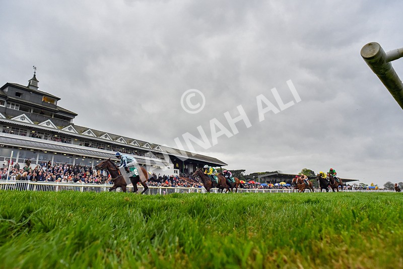 040524-Race 5-Lokana-4443 - Race 5