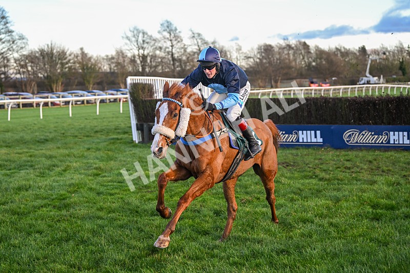 281224-Race 5-Poetry Man-4824 - Race 5