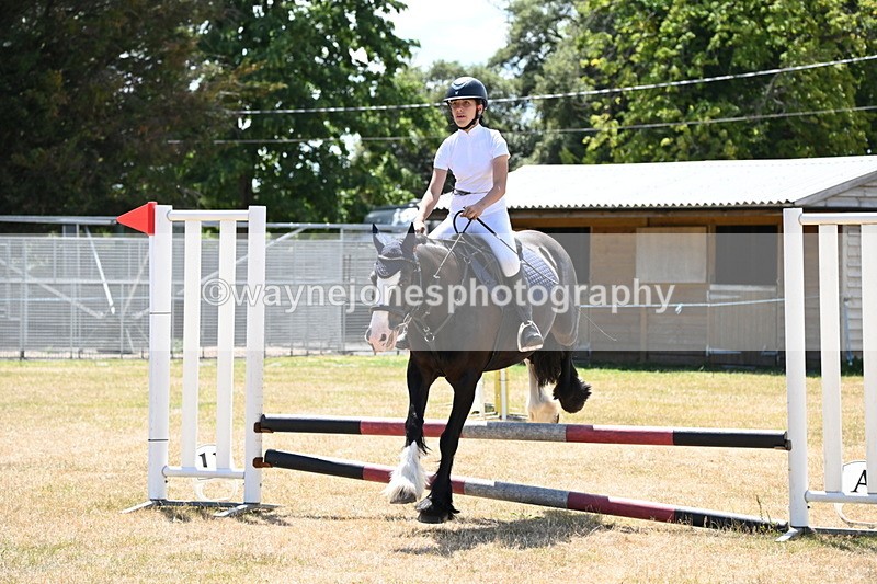 WJ6_5975 - Class 13 Novice 60cm