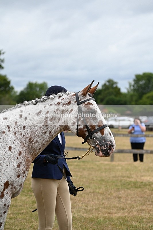 WJ6_4278 - Class 10 Coloured In-hand
