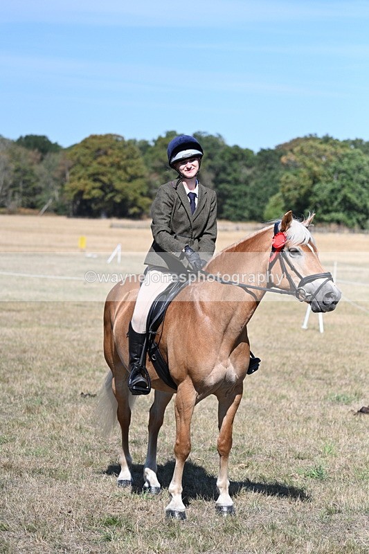 WJ7_1316 - Class 41 Prettiest Mare
