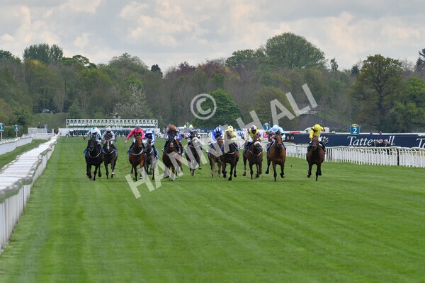 yr12052021r3-10 - Race 3 2.40pm Duke of York Clipper Logistics Stakes