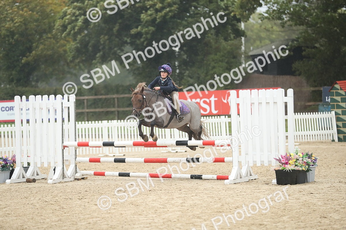 SBM_74244 - Supreme championship Junior Pony 70cm 75cm