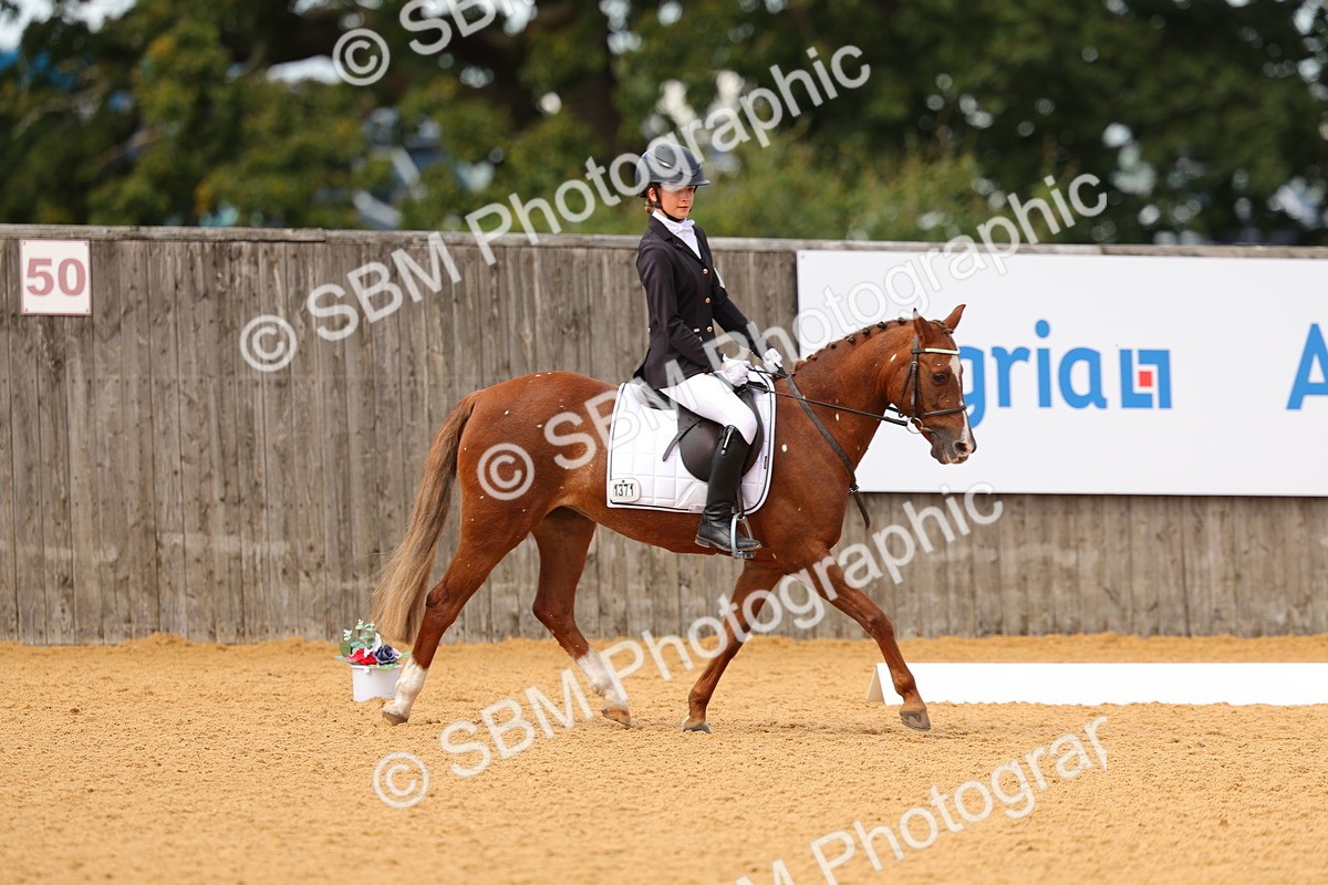 SBM_44028 - D22 - Junior Championship - Intro B
